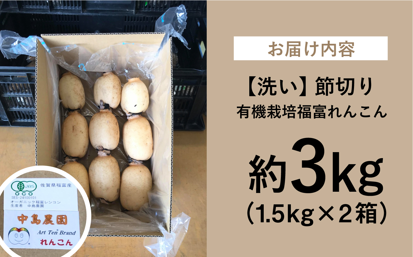 【洗い】【2026年9月～発送】節切り 有機栽培福富れんこん 約3kg（1.5kg×2箱） [IBC005]