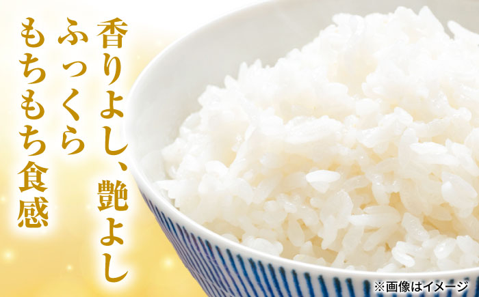 さがびより（白米） 5kg 【かわさきいちご】 [IBG018]