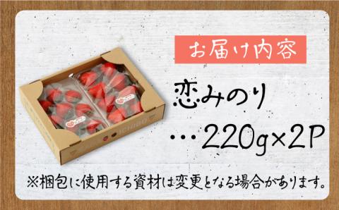 【先行予約】【農家直送】いちごに想いをのせて「恋みのり」220g×2パック 【鐘ヶ江農園】 イチゴ [IBH001]