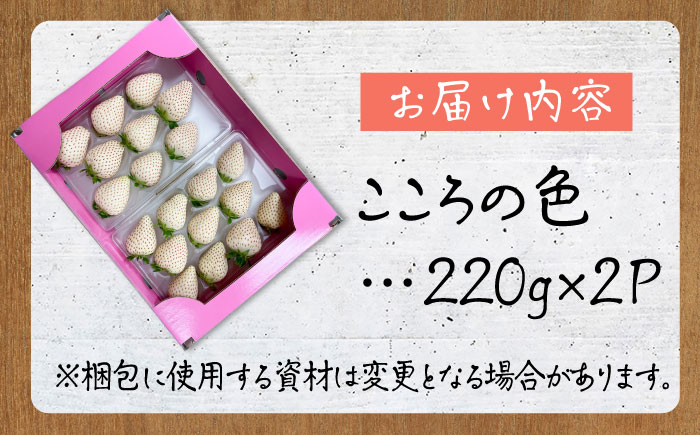 【先行予約】新品種  白石町産 白いちご 「こころの色」 220g×2パック 【鐘ヶ江農園】 [IBH016]