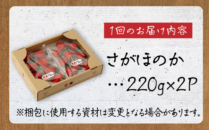 【先行予約】【4回定期便】さがほのか 220g×2パック×4回 【鐘ヶ江農園】 [IBH017]