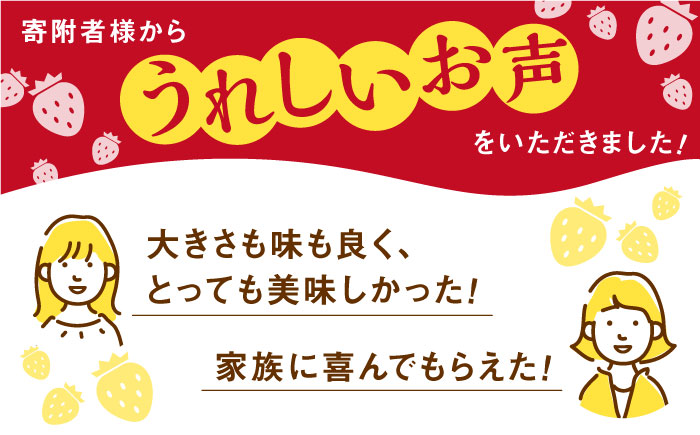 【先行予約】【農家直送】【化粧箱入り】いちごさん（400g）【StrawberryFarm-K】イチゴ [IBJ002]