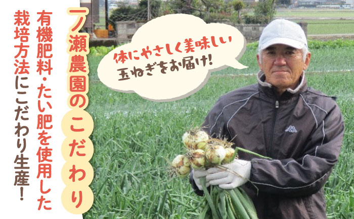 【農家直送！】こだわり 晩生 玉ねぎ 約5kg【一ノ瀬農園】たまねぎ 玉葱 [IBQ010]