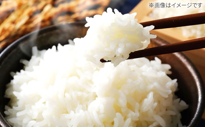 【先行予約】【令和7年度産】こだわりの特別栽培！無洗米　ヒノヒカリ 5kg 【有限会社定松ファーム】米 お米 [IBV006]