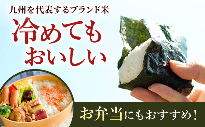 【令和7年10月以降発送】【令和7年度産】しろいしもりのお米 さがびより 2kg【Sunrise328】米 お米 白米 [ICD008]