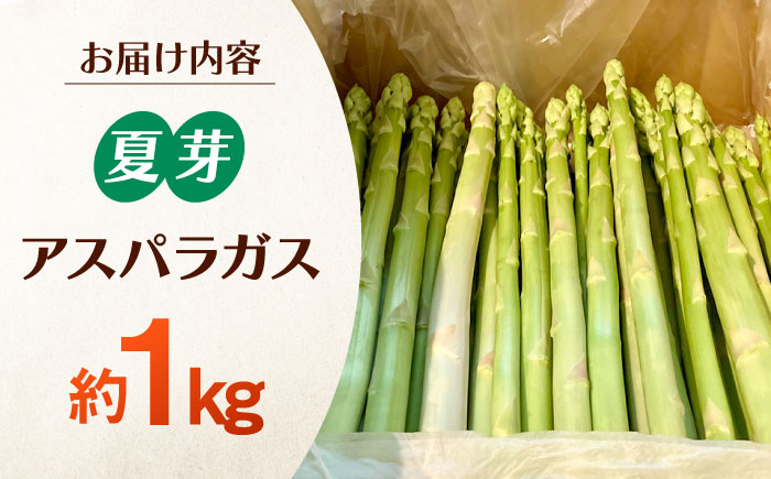 甘くやわらか！こだわり 夏芽 アスパラガス 約1kg【ふぁふぁふぁーむ】アスパラ [ICS002]