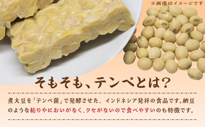 しろいしてんぺ入り！ チーズケーキ 酥 【おかしの中央堂】洋菓子 [IDA001]