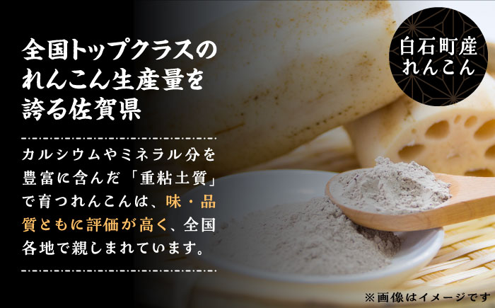 れんこんパウダー入り！ 佐賀銘菓 丸房露 【おかしの中央堂】和菓子 [IDA002]