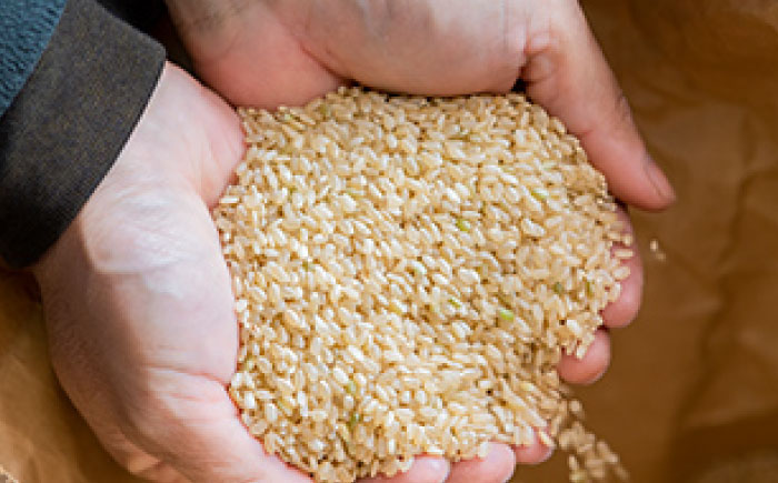 ヒノヒカリ 玄米 5kg 【片渕農園】 [IDG004]