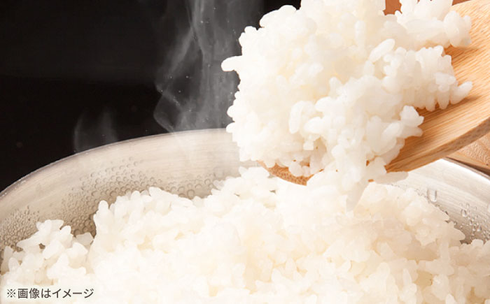 さがびより5kg 【直売所にじ】 米 5kg  精米 特A 特A評価  佐賀県産 国産米 コメ こめ お米 白米 ブランド米 精白米 おにぎり さがびより 九州 佐賀県 白石町 人気 おすすめ[IDO001]