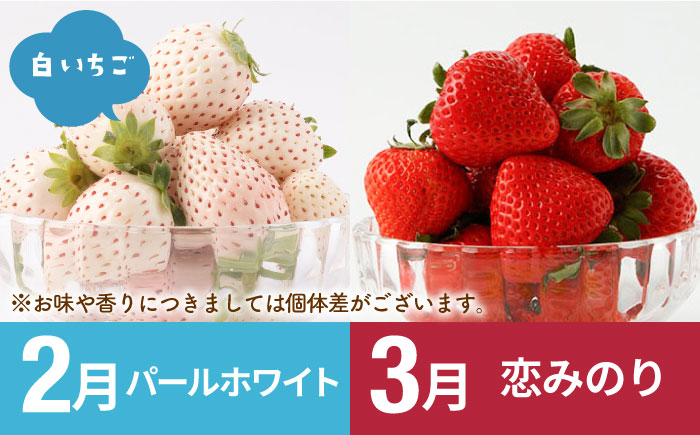 【R8年2月以降発送】【全6回定期便】産地直送！白石町産 いちごと牛肉の贅沢定期便 [IZZ009]