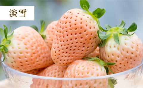 【先行予約】【全3回定期便】紅白いちご（淡雪・さがほのか）とスイートコーン / イチゴ [IZZ016]