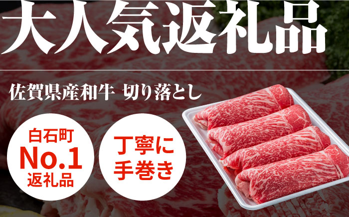 【2026年発送分先行予約！】【2回定期便】牛丼コンビ！牛肉 と 玉ねぎ / 切り落とし 玉葱 新玉 九州 [IZZ031]