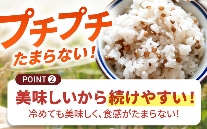 【令和6年度産】【腸内環境整える健康食品！】白石産もち麦900g 【道の駅しろいしカンパニー】ご飯 もち麦 [IAA003]