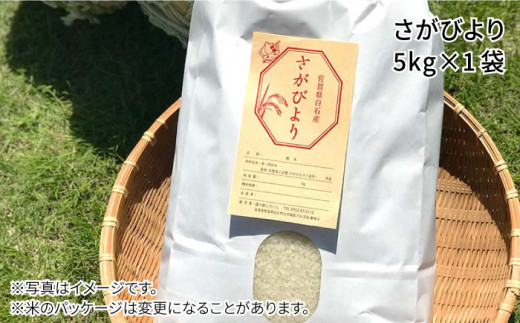 【令和6年度産】特別栽培米 白石産 さがびより（5kg）【道の駅しろいしカンパニー】白米 [IAA006]
