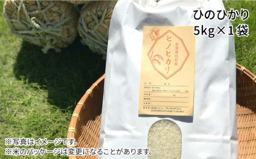 【令和6年度産】特別栽培米 白石産 ひのひかり（5kg）【道の駅しろいしカンパニー】白米 [IAA007]