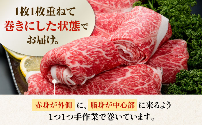 【圧倒的リピート率！】【6回定期便】佐賀県産 黒毛和牛 贅沢 切り落とし 500g【株式会社いろは精肉店】佐賀産和牛 牛肉 すき焼き しゃぶしゃぶ [IAG063]