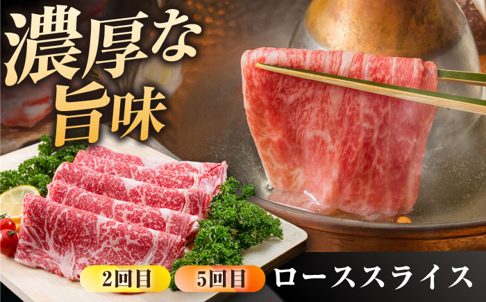 【肉のプロが厳選！】【6回定期便】佐賀県産和牛 贅沢 定期便【株式会社いろは精肉店】佐賀産和牛 牛肉 [IAG069]