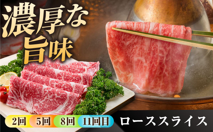 【肉のプロが厳選！】【12回定期便】佐賀県産和牛 贅沢 定期便【株式会社いろは精肉店】佐賀産和牛 牛肉 [IAG070]