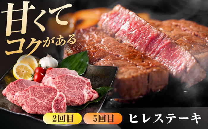 【肉のプロが厳選！】【6回定期便】佐賀牛 贅沢 定期便【株式会社いろは精肉店】牛肉 [IAG075]