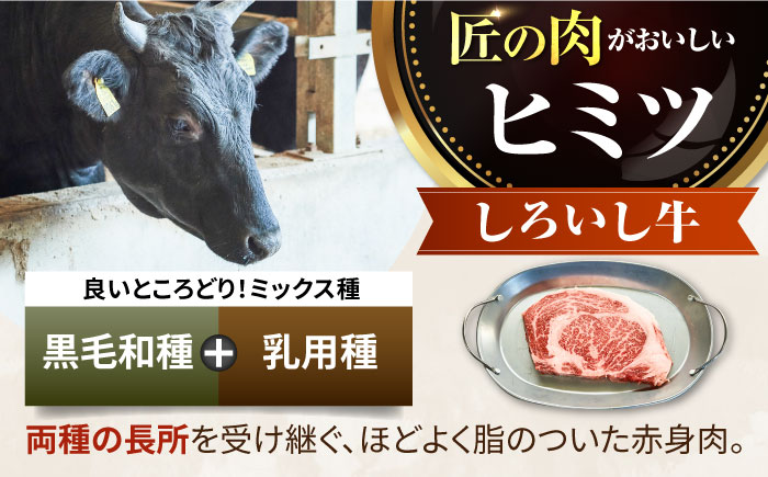 【牧場直送】佐賀県産しろいし牛 厚切りステーキ（サーロイン） 計1.5kg（約300g×5枚）【有限会社佐賀セントラル牧場】牛肉 [IAH040]