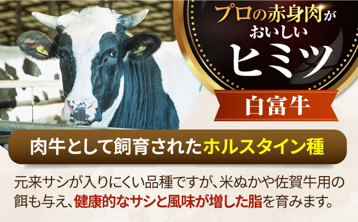 【牧場直送】岩塩と牛肉のみで作った手ごねハンバーグ 100g×16個【有限会社佐賀セントラル牧場】おかず [IAH043]