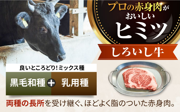 【牧場直送】佐賀県産しろいし牛 ボリュームたっぷり手ごねハンバーグ 120g×10個【有限会社佐賀セントラル牧場】おかず [IAH044]