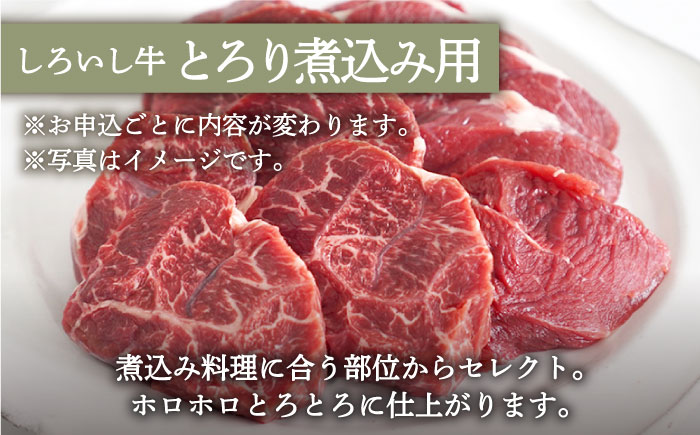 【牧場直送】人気返礼品セット！手ごねハンバーグ 4個＆しろいし牛 とろり煮込み用 700g【有限会社佐賀セントラル牧場】肉 [IAH114]