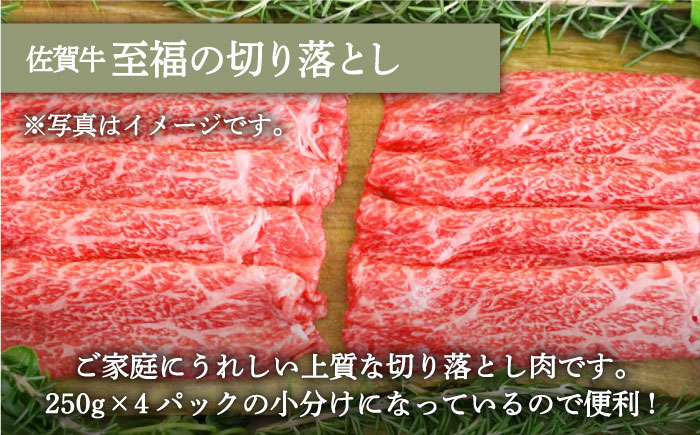 【牧場直送】人気返礼品セット！牛肉100%ふんわりロールステーキ 4個＆佐賀牛 切り落とし 1000g（250g×4パック）【有限会社佐賀セントラル牧場】お肉 [IAH132]