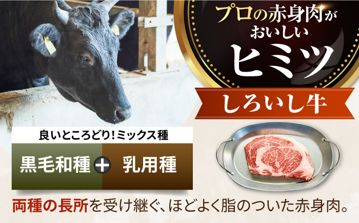 【牧場直送】【12回定期便】佐賀県産しろいし牛 とろり煮込み用 700g【有限会社佐賀セントラル牧場】牛肉 [IAH141]