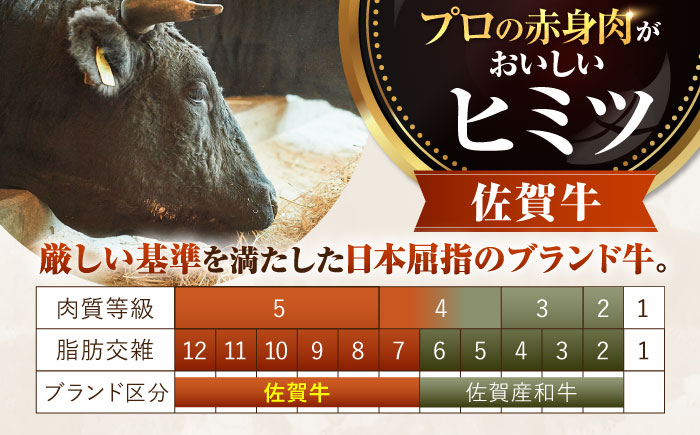 【牧場直送】【5回定期便】佐賀牛 サーロインステーキ 1kg（約200g×5枚）【有限会社佐賀セントラル牧場】肉 [IAH169]