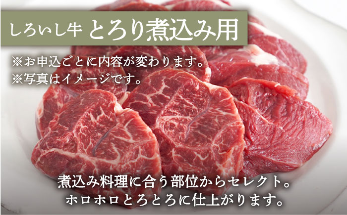 【牧場直送】人気返礼品セット！しろいし牛 手ごねハンバーグ 5個＆とろり煮込み用 700g 【有限会社佐賀セントラル牧場】 肉 [IAH181]