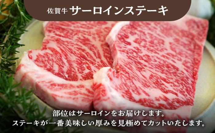 【牧場直送】佐賀牛 食卓にうれしいバラエティ セット（切り落とし 計500g＆サーロインステーキ 計400g）【有限会社佐賀セントラル牧場】牛肉 [IAH202]