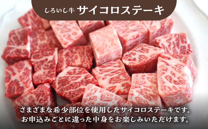 【牧場直送】【6回定期便】しろいし牛 家族向け お楽しみ 定期便（プレミアムコース）【有限会社佐賀セントラル牧場】牛肉 [IAH213]