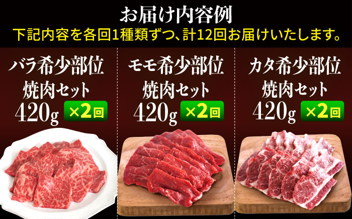 【牧場直送】【12回定期便】佐賀県産 しろいし牛 1頭まるごと 定期便【有限会社佐賀セントラル牧場】 [IAH225]
