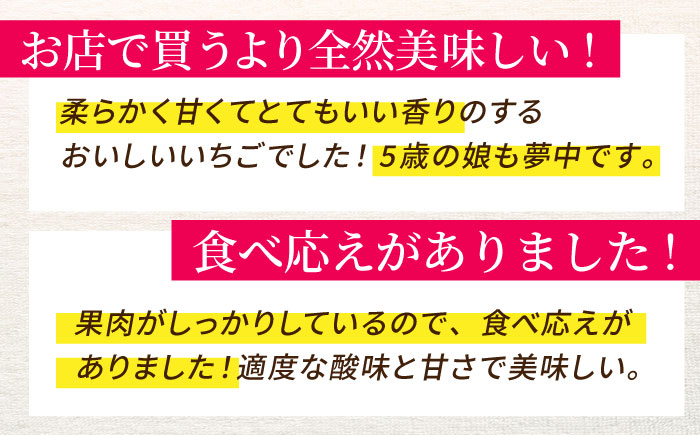 【R8年1月以降発送】 白石町産 いちごさん （150g×6パック） 【佐賀県農業協同組合】 イチゴ [IAK016]