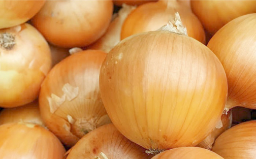 【マイルドな味わい！】子供のたまねぎドレッシング 150ml×6本【玉葱農家 陣内ちひろ】玉ねぎ 玉葱 たまねぎ ドレッシング [IAO002]