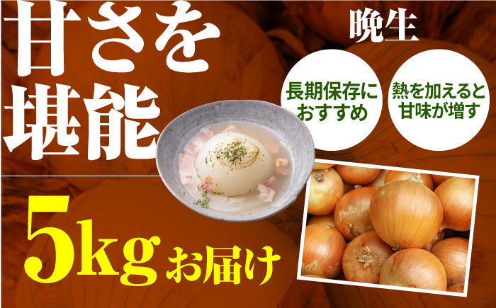 【2回定期便】農家直送 玉ねぎ 定期便 5kg/回 【玉葱農家 陣内ちひろ】玉葱 たまねぎ 新玉ねぎ 新玉葱 晩生 [IAO026]
