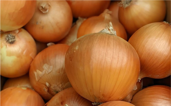 【先行予約】【2回定期便】農家直送！晩生玉ねぎとスイートコーンの定期便【玉葱農家 陣内ちひろ】コーン とうもろこし とうきび タマネギ 玉葱 玉ネギ 野菜 定期便 セット 晩生 未来 ドルチェドリーム 新鮮 産地直送 季節 [IAO030]