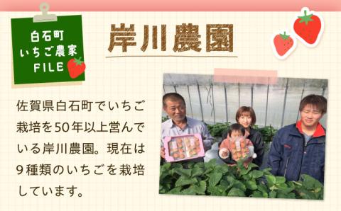 【先行予約】【農家直送】その美味しさ四つ星級！「よつぼし」220g×2パック 【岸川農園】いちご [IAP009]