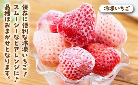 【先行予約】【全6回定期便】プレミアム いちご 食べ比べ【岸川農園】イチゴ [IAP023]