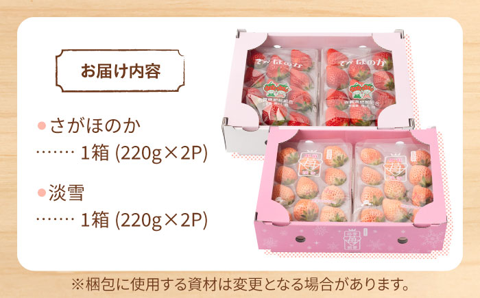 【先行予約】赤白 いちご 豪華 食べ比べセット【岸川農園】イチゴ [IAP028]