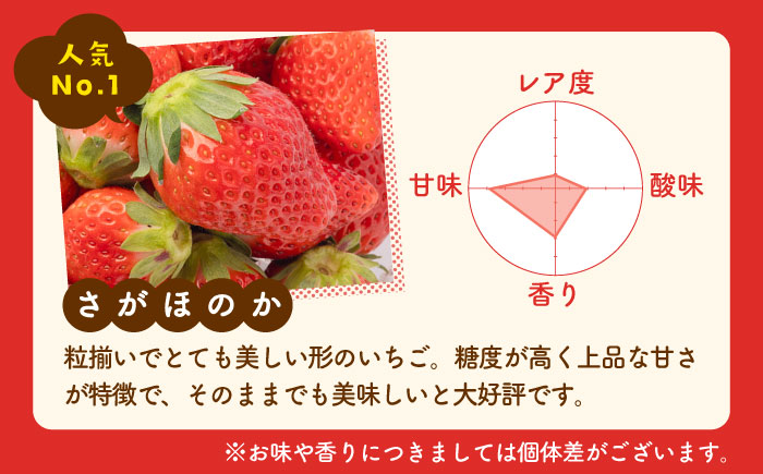 【先行予約】【化粧箱入り】淡雪＆さがほのか 赤白 いちごセット200g × 2パック 合計400g 【岸川農園】イチゴ [IAP032]