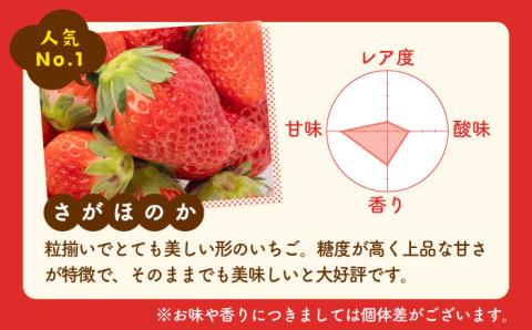 【先行予約】【農家直送】赤白「パールホワイト」＆「さがほのか」各220g【ハヤシダファーム】いちご [IAQ005]