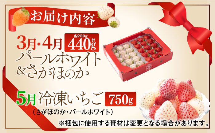 【R8年3月以降発送】【全3回定期便】希少白いちごパールホワイト、さがほのかと冷凍いちご【ハヤシダファーム】イチゴ [IAQ010]