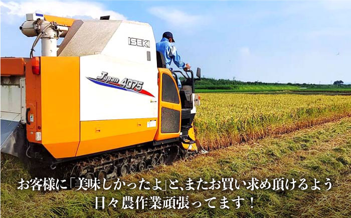 【令和7年8月以降発送】【令和7年度産】特別栽培米 早場米 コシヒカリ 10kg（10kg×1） 山口さんちの贈り物 【y'scompany】 白米 [IAS002]