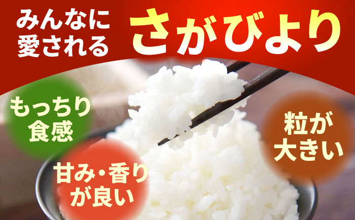 【令和7年11月以降順次発送】【令和7年度産】特別栽培米 さがびより 5kg 白米 山口さんちの贈り物 【y'scompany】白米 [IAS005]