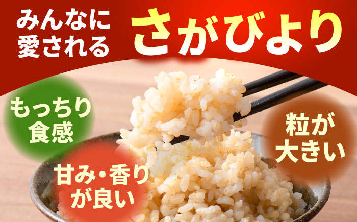 【令和7年11月以降順次発送】【令和7年度産】 特別栽培米 さがびより（玄米） 10kg 【y'scompany】 [IAS022]