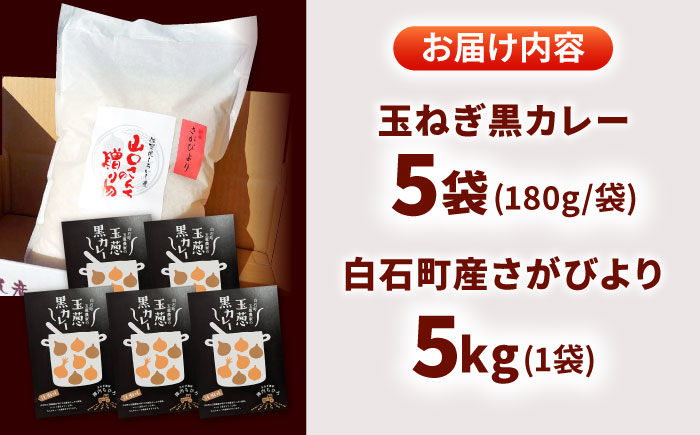 白石町産 特別栽培 さがびより（白米）5kg＆スパイス香る 玉葱黒カレー（レトルト）5袋 詰め合わせ【AGUMIGroup（農業女子グループ）】 [IAT003]