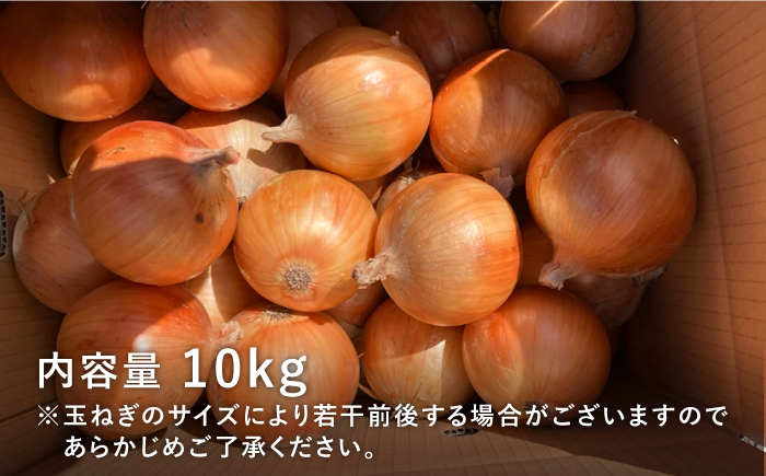 【農家直送！】こだわり 白石玉ねぎ 10kg【れんこんの家やました】 [IAW009]